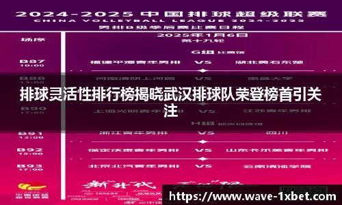 排球灵活性排行榜揭晓武汉排球队荣登榜首引关注